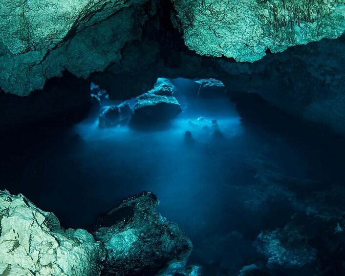 Picture 1 for Activity Playa Del Carmen: Cenotes Kukulkan & Little Brother Diving 5