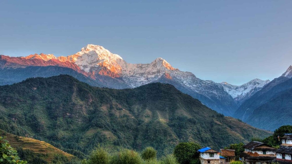 Picture 6 for Activity Kathmandu: 8-Day Panauti Village Homestay with Meals 3