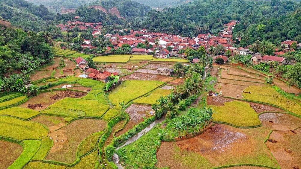 Picture 2 for Activity Kathmandu: 8-Day Panauti Village Homestay with Meals 4