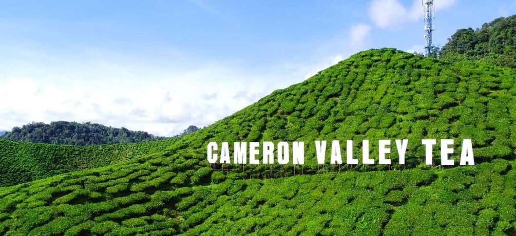 Penang: Cameron Highlands 3D2N Trip 1