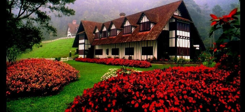 Picture 4 for Activity Penang: Cameron Highlands 3D2N Trip 3