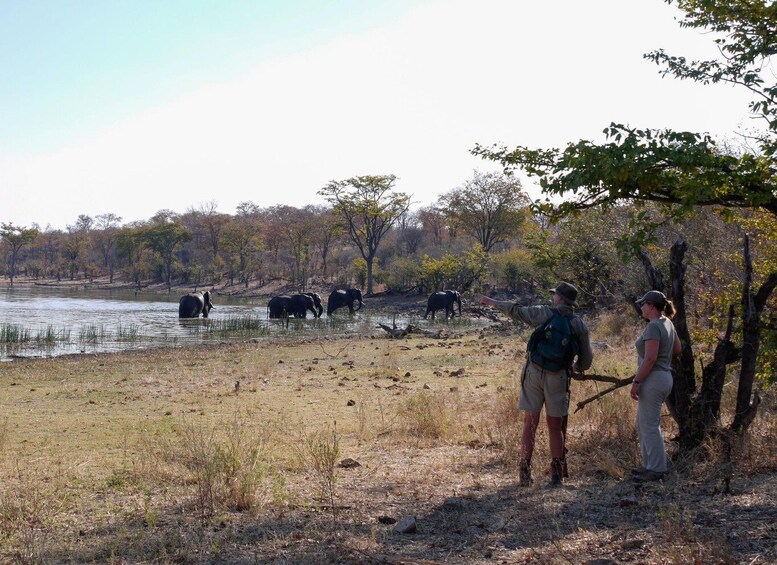 Picture 4 for Activity From Victoria Falls: Hwange Overnight Camping Safari 5