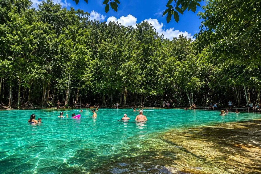 Picture 9 for Activity Krabi Private Tour: Emerald Pool and Hot spring 2
