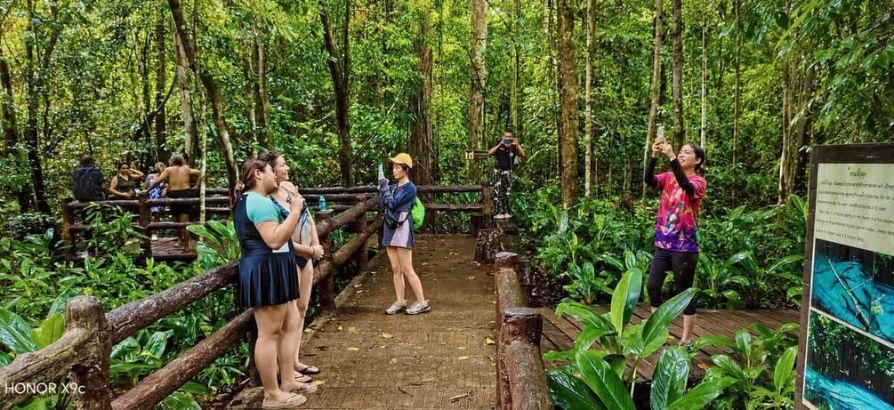 Picture 10 for Activity Krabi Private Tour: Emerald Pool and Hot spring 4