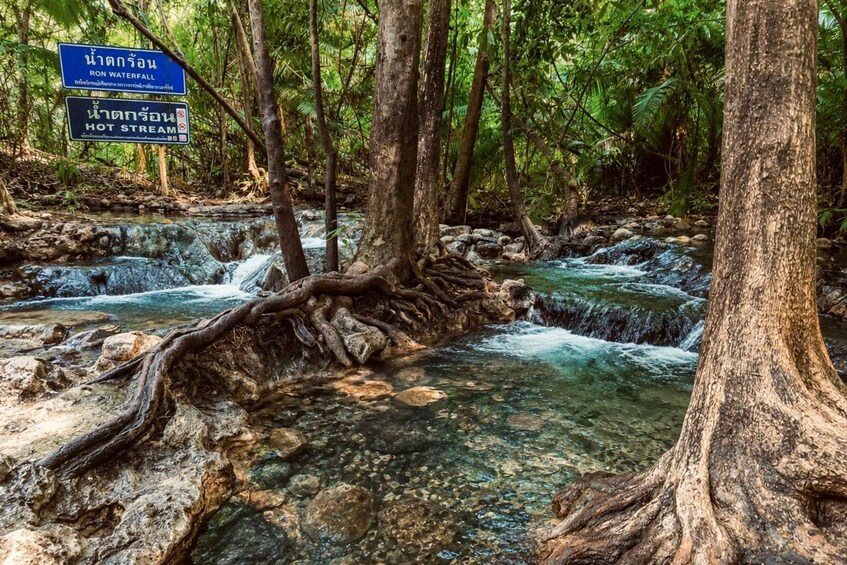 Picture 3 for Activity Krabi Private Tour: Emerald Pool and Hot spring 5