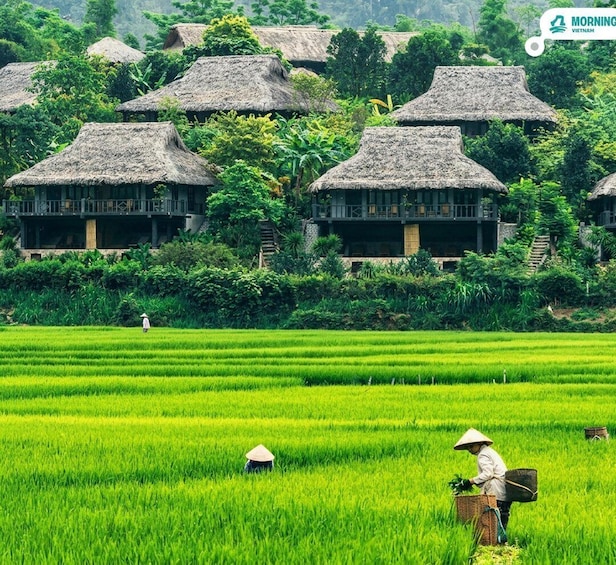 Picture 1 for Activity Unlock Mai Châu 1 Day Trip by Car 5