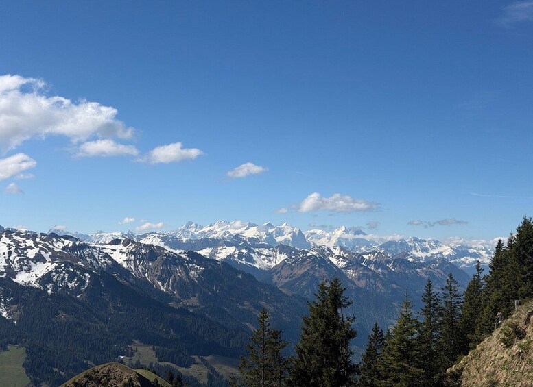 A mountain range with snow-capped peaks, a clear blue sky, and dense forest in the foreground. 2