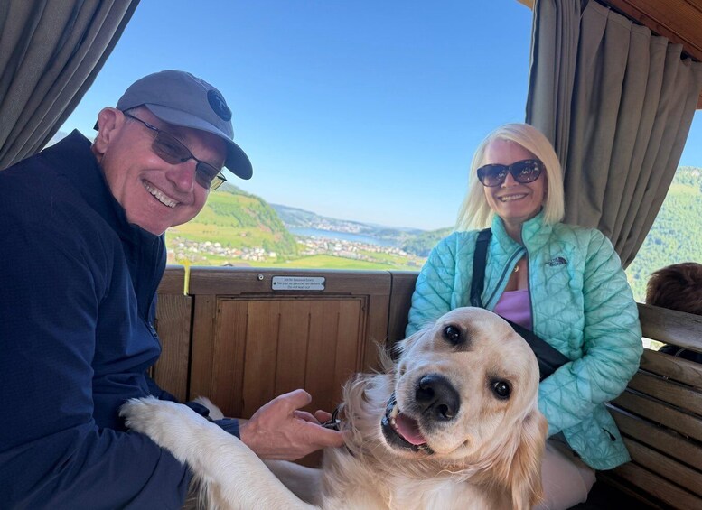 A person in a blue jacket and a dog in a teal jacket sitting by a window overlooking a landscape. 5