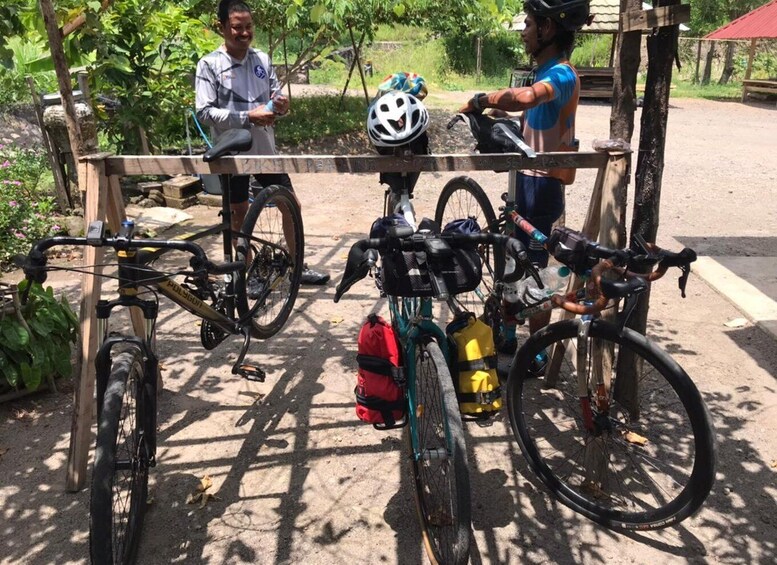 Picture 11 for Activity Senaru Bike Tour Panorama with Coffee & Brunch 4