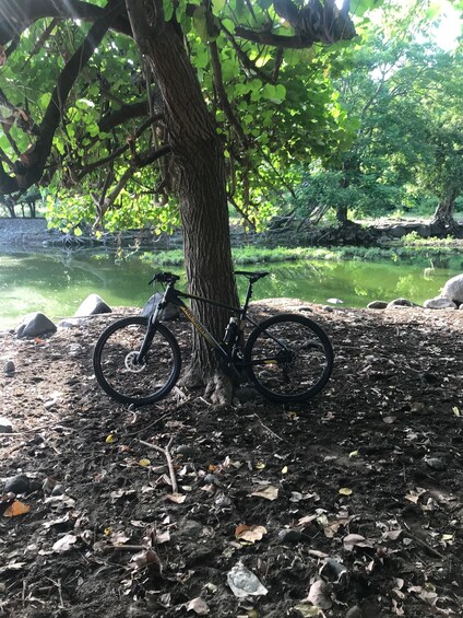 Picture 4 for Activity Senaru Bike Tour Panorama with Coffee & Brunch 3