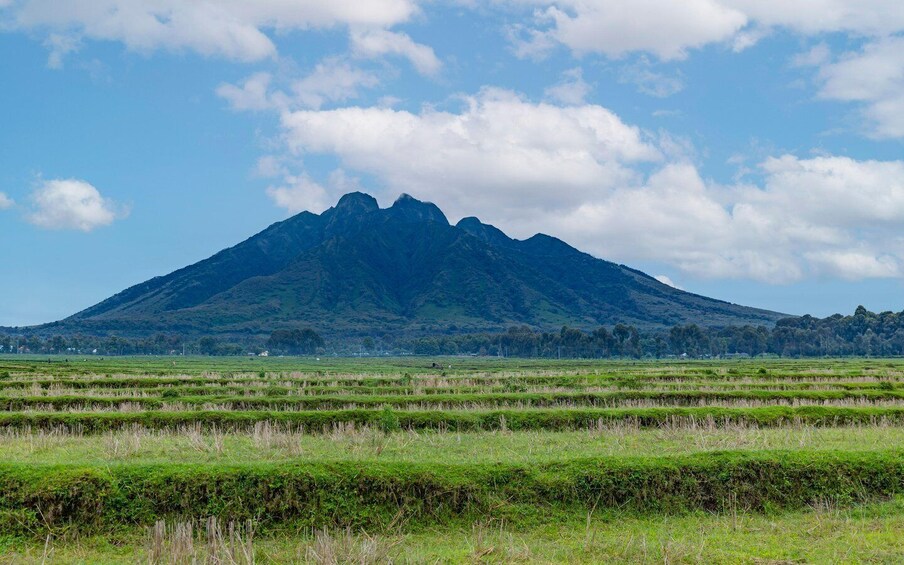 A mountain with a clear sky and fields in the foreground. 2