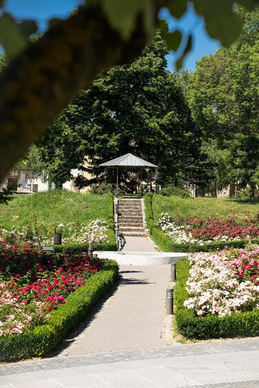 Picture 5 for Activity Vukovar: Walking Tour Through Countess Sophia Eltz's Eyes 3