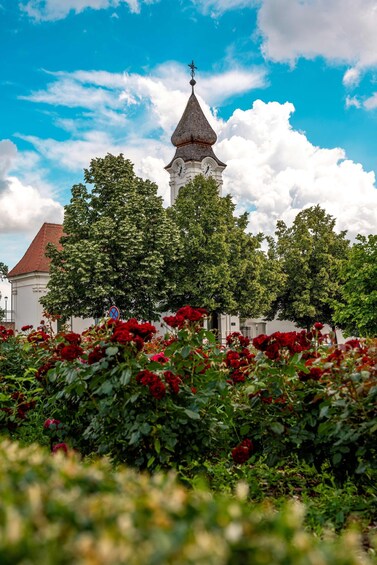Picture 6 for Activity Vukovar: Walking Tour Through Countess Sophia Eltz's Eyes 2