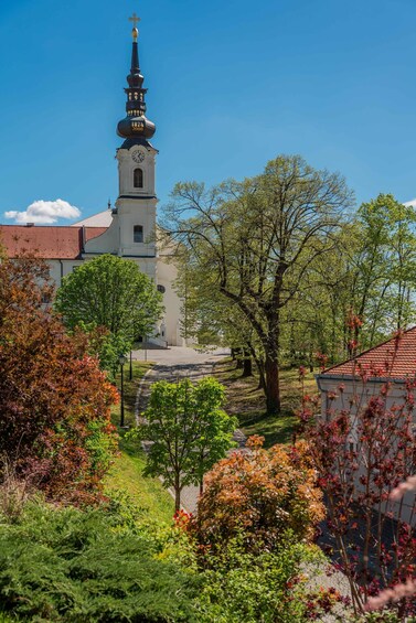 Picture 4 for Activity Vukovar: Walking Tour Through Countess Sophia Eltz's Eyes 4
