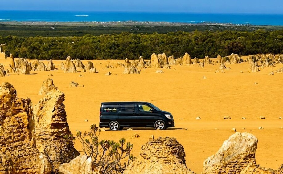 Perth to the Pinnacles with 4WD desert drive & sandboarding 1