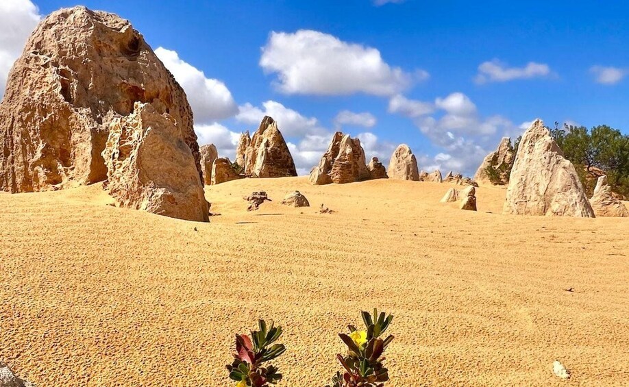 A desert landscape with prominent rock formations and sparse vegetation. 3