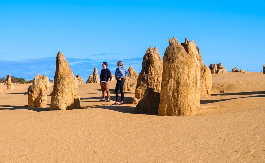 Picture 4 for Activity Perth to the Pinnacles with 4WD desert drive & sandboarding 2