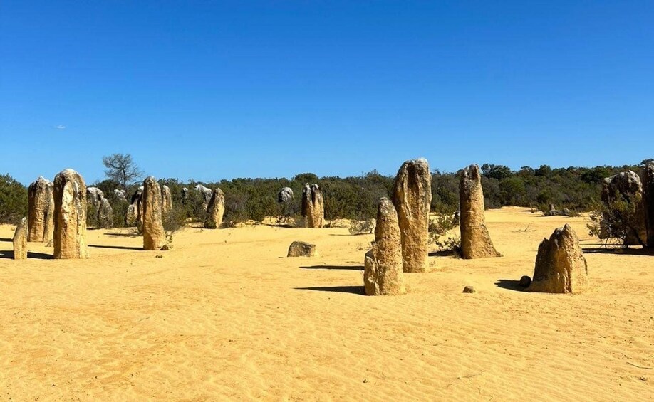 A desert landscape with numerous tall, slender rock formations. 4