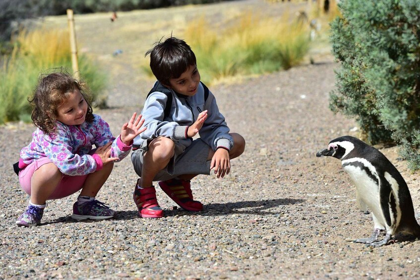 Two children crouching on a gravel path with a penguin nearby. 3
