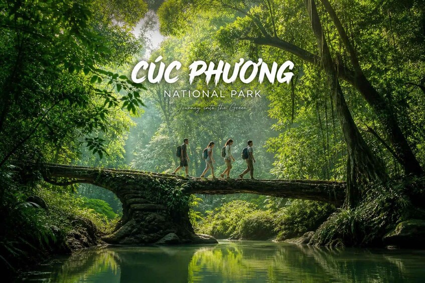 A bridge over a river in a lush forest, with people walking across. 5