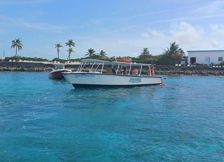 A white boat named 'ROYAL PRINCESS' on calm blue water with palm trees and a building in the background. 1
