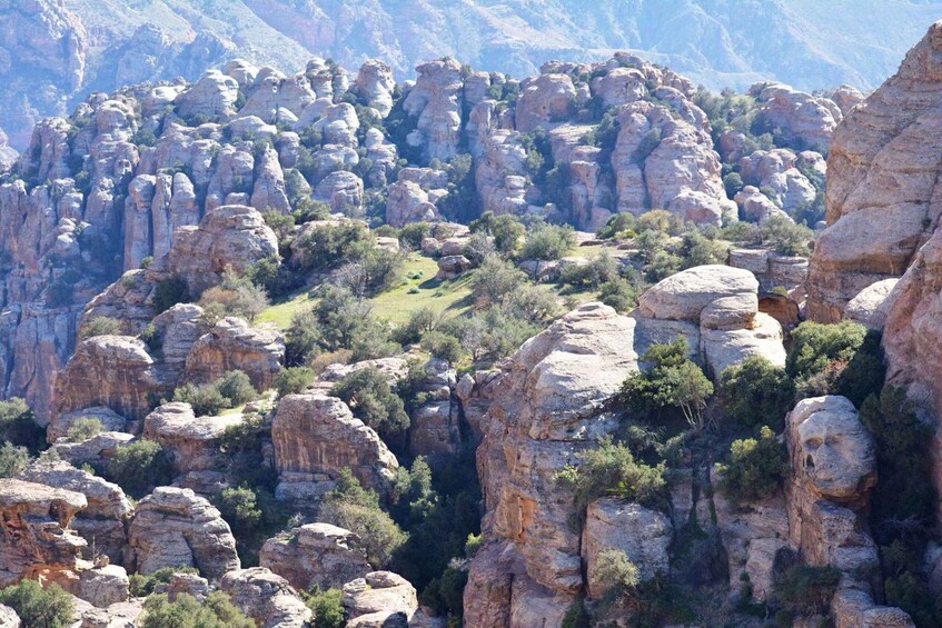 Picture 1 for Activity Dana Nature Reserve Hiking Adventure – Full Day from Amman 2