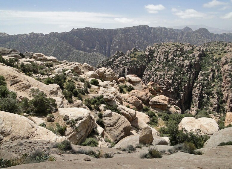 Picture 3 for Activity Dana Nature Reserve Hiking Adventure – Full Day from Amman 3