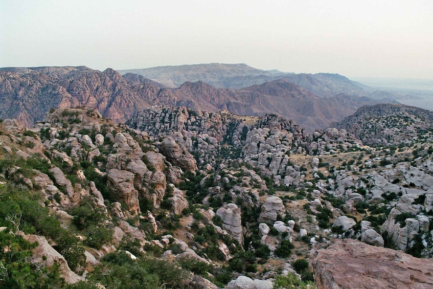 Dana Nature Reserve Hiking Adventure – Full Day from Amman 1