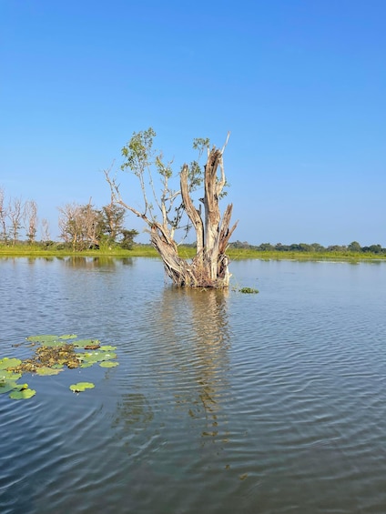 Picture 6 for Activity Habarana-Lake Eco-Adventure Boat Tour and Nature Walk 4