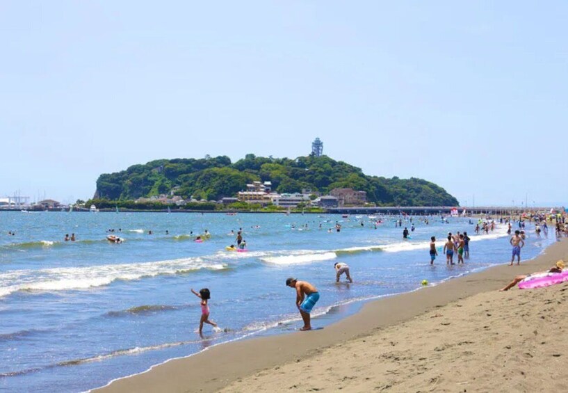 Picture 22 for Activity Kamakura & Enoshima Day Tour With English Speeking Guide 1