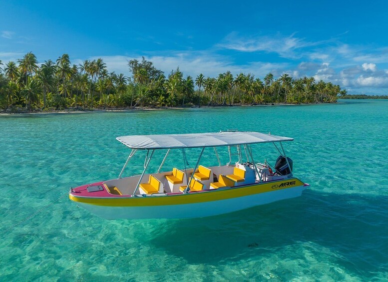 Picture 1 for Activity Bora Bora: Discover the Lagoon with Snorkeling and Swimming 3
