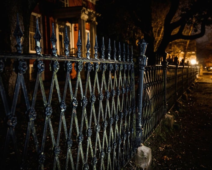 A wrought iron fence with intricate designs, a tree, and a building in the background. 4