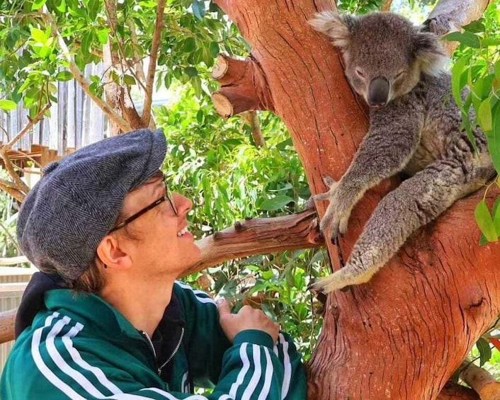 Picture 3 for Activity Blue Mountain Bus Tour & get digital koala photo Sydney Zoo 2