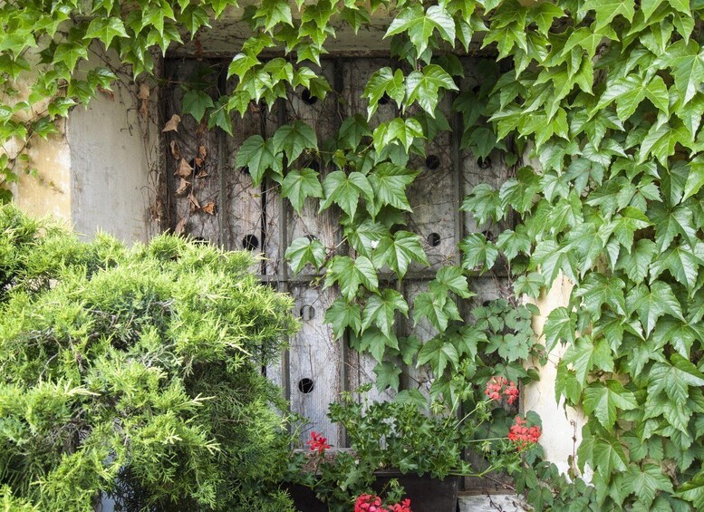 Picture 5 for Activity Bressanone/Brixen: Private Guided Walking Tour 5