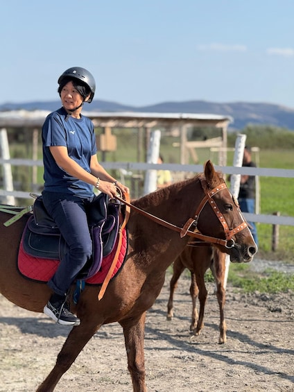 Gabala: Horseback Riding Experience in Nature 1