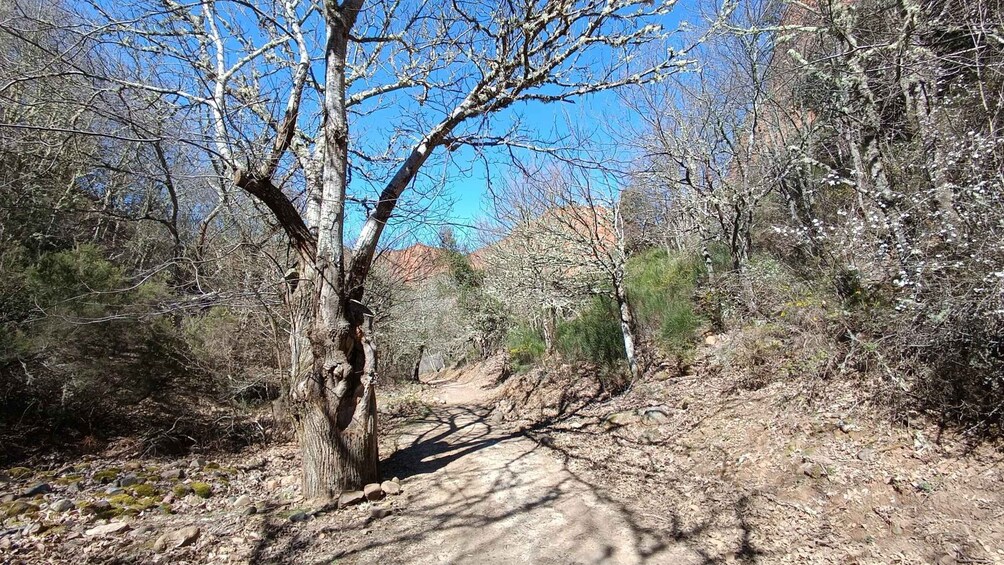 Picture 13 for Activity Las Médulas: Guided Tour of Roman Gold Mine 2