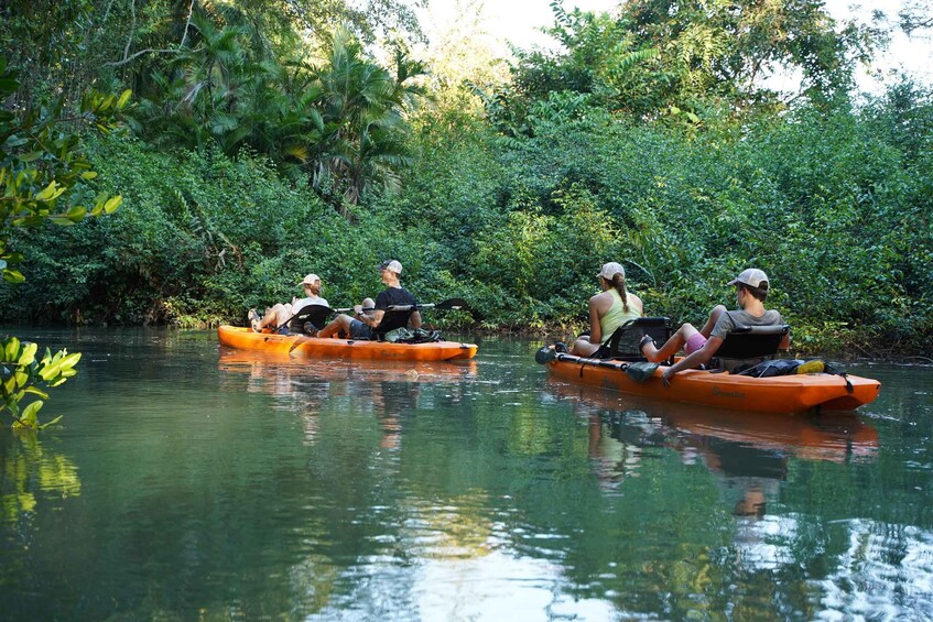 Picture 4 for Activity Manuel Antonio: Mangrove Safari by Hobie Pedal Kayak 5