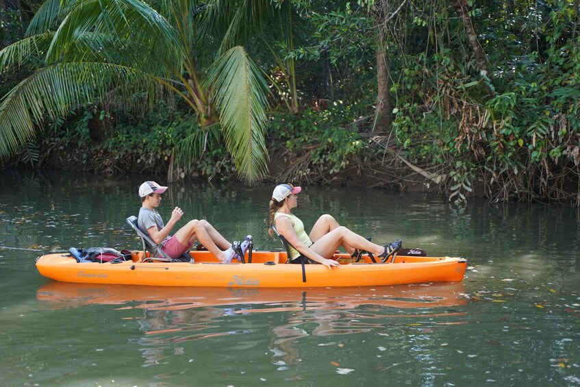 Picture 1 for Activity Manuel Antonio: Mangrove Safari by Hobie Pedal Kayak 5