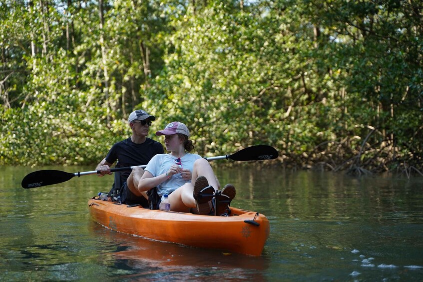 Picture 3 for Activity Manuel Antonio: Mangrove Safari by Hobie Pedal Kayak 2