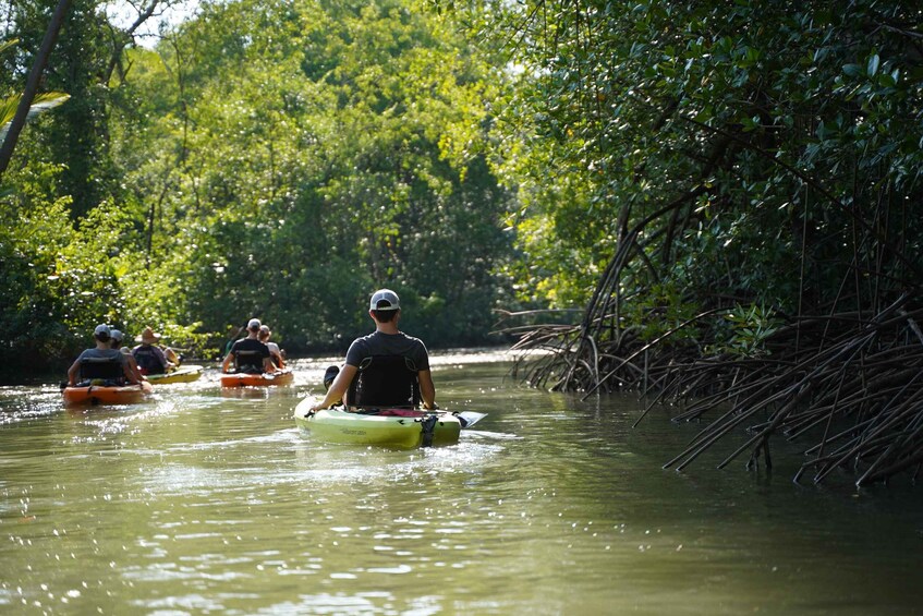 Picture 2 for Activity Manuel Antonio: Mangrove Safari by Hobie Pedal Kayak 4