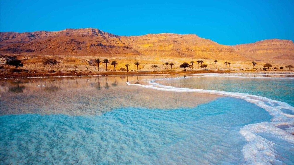 A clear lake with a sandy shore, palm trees, and mountains in the background. 5