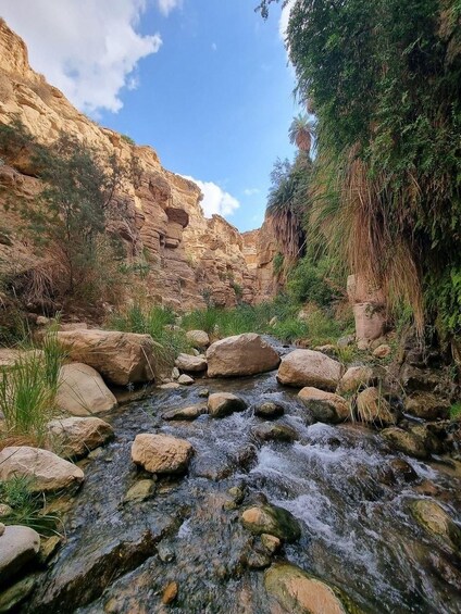 A rocky stream with large boulders and greenery. 3