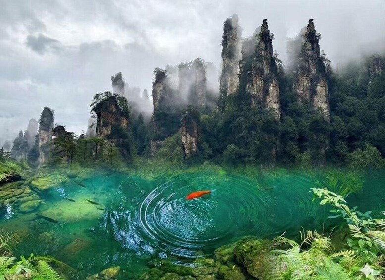 Paesaggio boschivo con imponenti formazioni rocciose e un lago cristallino color turchese. 1