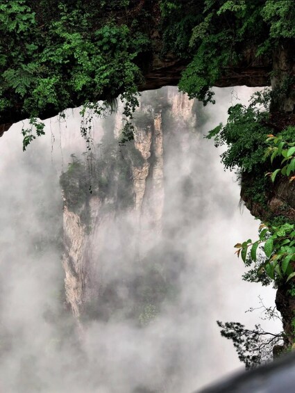 Un canyon nebbioso con fitta vegetazione e una superficie d'acqua calma e speculare. 3