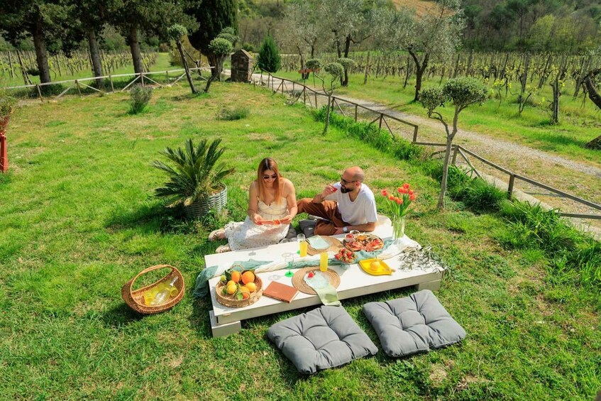 Greve in Chianti: Chic-Nic Vineyard Picnic 1