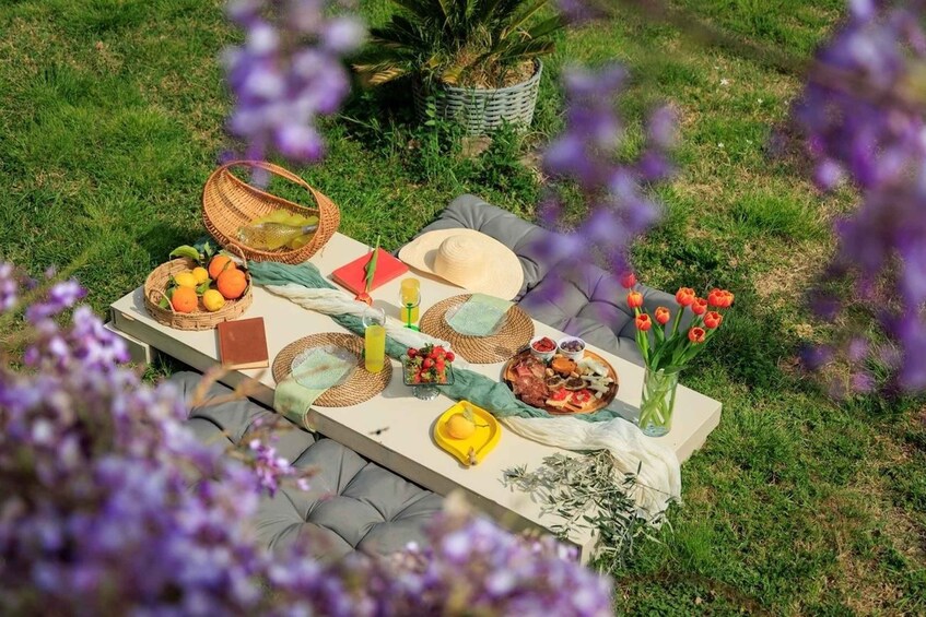 Picture 3 for Activity Greve in Chianti: Chic-Nic Vineyard Picnic 2