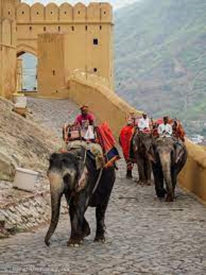 Picture 7 for Activity 3-Day Private Golden Triangle Tour: Delhi, Agra & Jaipur 5