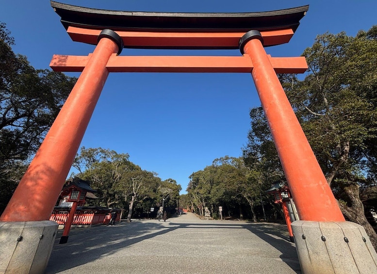 Usa Jingu Shrine Private Tour with Guide from beppu 1