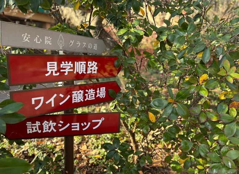 Picture 26 for Activity Usa Jingu Shrine Private Tour with Guide from beppu 2