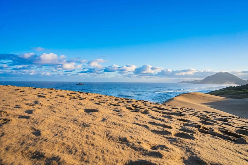 Tottori Sand Dunes, Conan Town & Okayama Peach Picking Tour 1